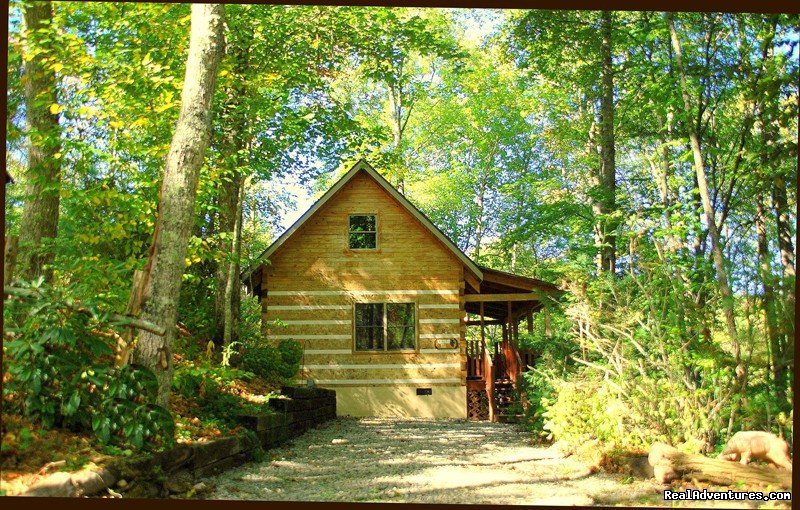 Log Cabin Vacation Rentals Great Smoky Mountain NC | Image #2/9 | 