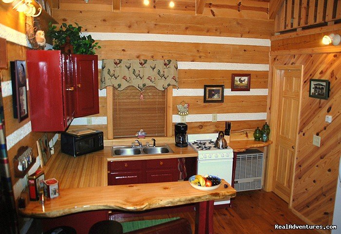 Log Cabin Vacation Rentals Great Smoky Mountain NC | Image #3/9 | 