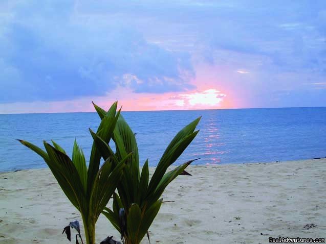 Sunrise at Maya Beach-Hyde Park Community Beach | Treetop Retreat- An Elemental Belizean Experience! | Image #2/7 | 