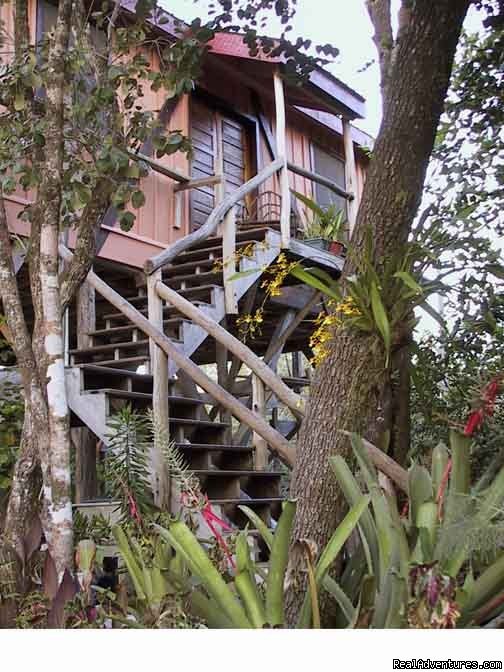Treetop Retreat Entrance Through Orchid-lined Sand Paths | Treetop Retreat- An Elemental Belizean Experience! | Image #3/7 | 