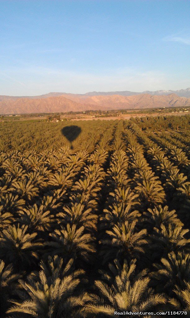 Fly Over Coachella Valley Date Palms | Hot Air Balloon Flights over Palm Springs | Image #4/6 | 