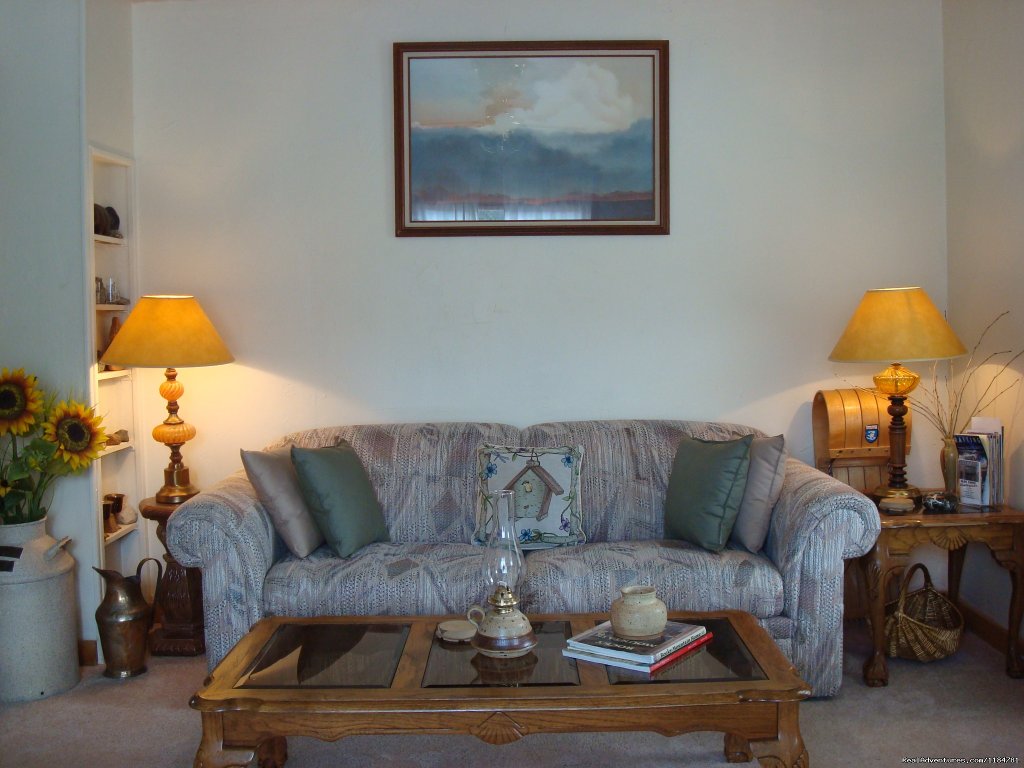 Cozy Living Room | Mt Evans Cabin, Hot Springs & Historic Town | Image #3/24 | 