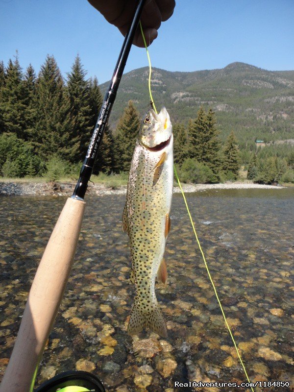 Trout Fishing | Hawley Mountain Guest Ranch Vacation | Image #12/16 | 