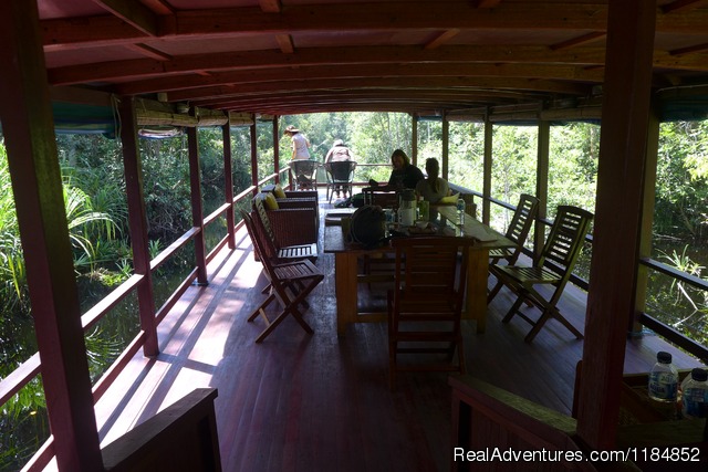 Relax on a Jungle River Journey in Borneo Photo