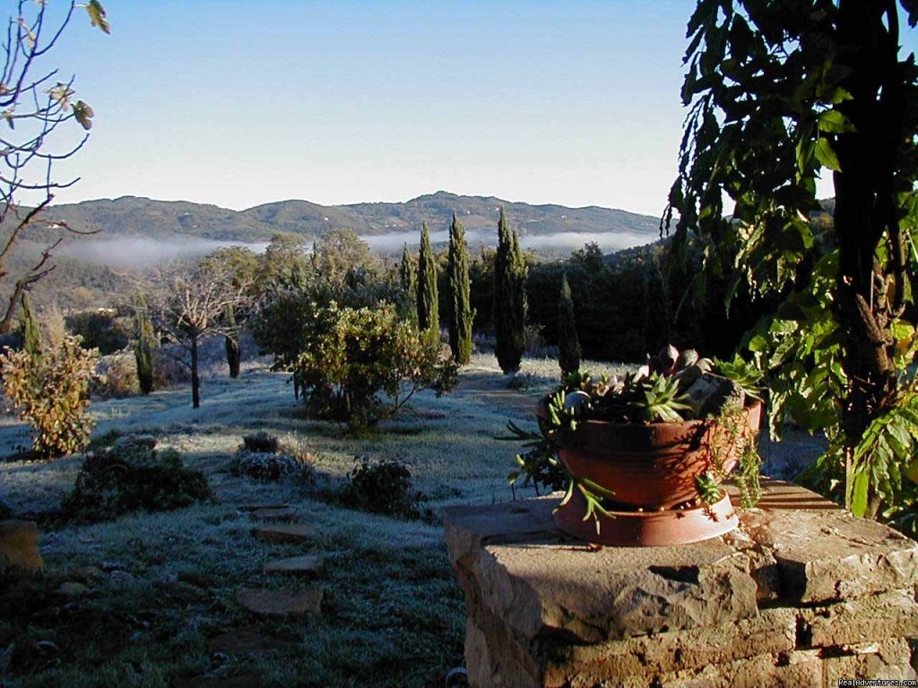 view from the patio, autumn | Mountain Bike from your front door in Umbria! | Image #6/15 | 