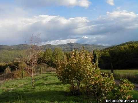 view from the patio, spring | Mountain Bike from your front door in Umbria! | Image #7/15 | 