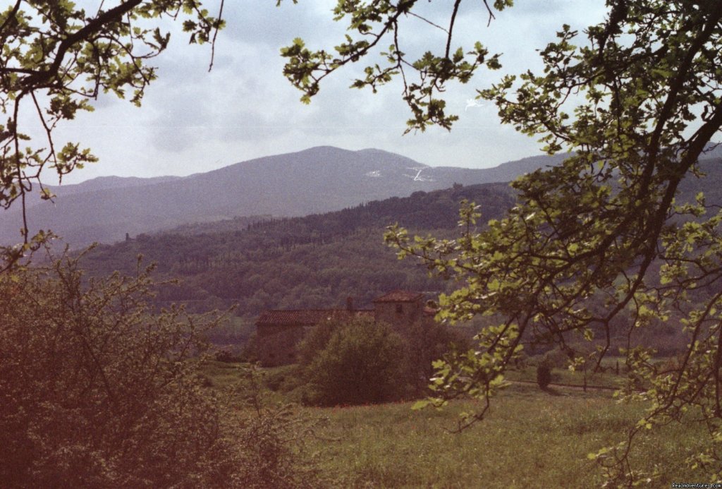 Above the house | Mountain Bike from your front door in Umbria! | Image #12/15 | 