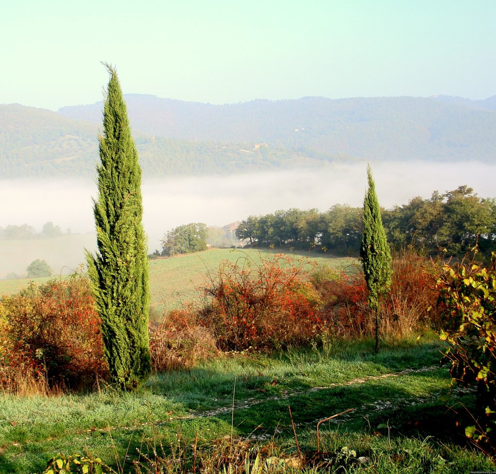 early morning | Mountain Bike from your front door in Umbria! | Image #14/15 | 