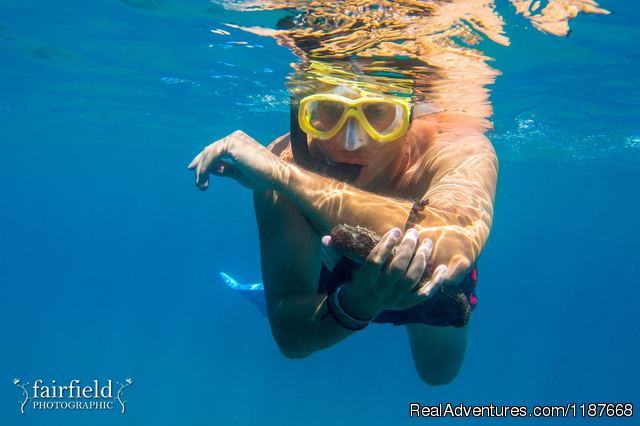 Educational and fun snorkelling day trips Photo