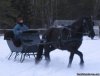Horse Drawn Sleigh Rides & Carriages Rides  | Big Falls, Minnesota
