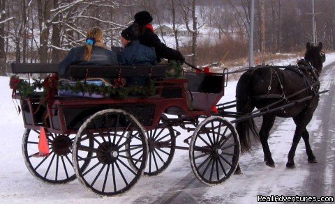 Christmas Carriage Rides | Horse Drawn Sleigh Rides & Carriages Rides  | Image #2/14 | 
