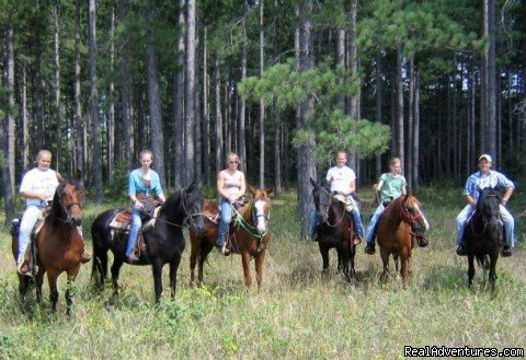 Trail Ride Adventures | Horse Drawn Sleigh Rides & Carriages Rides  | Image #3/14 | 