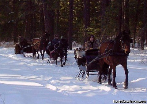 Sleigh Ride Adventures In The North Woods | Horse Drawn Sleigh Rides & Carriages Rides  | Image #5/14 | 