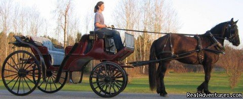 Wedding Carriage Services | Horse Drawn Sleigh Rides & Carriages Rides  | Image #6/14 | 