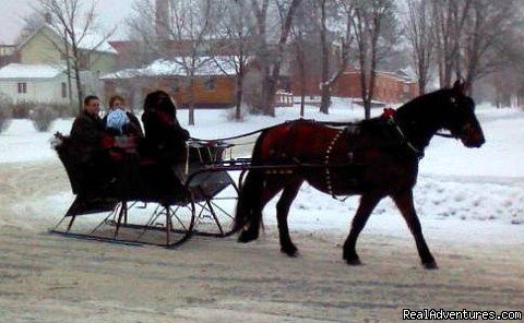 Antique Santa Sleigh Rides | Horse Drawn Sleigh Rides & Carriages Rides  | Image #7/14 | 
