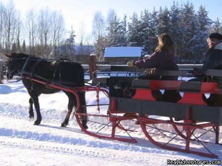 Oh What Fun | Horse Drawn Sleigh Rides & Carriages Rides  | Image #8/14 | 
