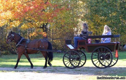 Fall Ride | Horse Drawn Sleigh Rides & Carriages Rides  | Image #9/14 | 