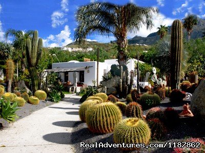 Part of the botanical garden with the Cactus lounge cafe  | Apartments in a Botanical Garden, Ischia (Amalfi) | Image #2/6 | 