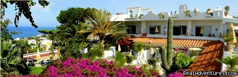 front view main building | Apartments in a Botanical Garden, Ischia (Amalfi) | Image #6/6 | 