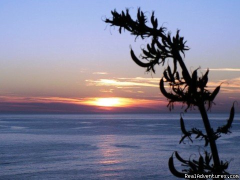 Flax sunrise | Beachfront Hunting Fishing Loghouse | Image #6/19 | 