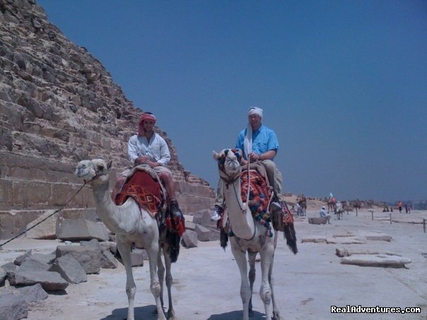Pharaonic tour guide | Image #5/26 | 