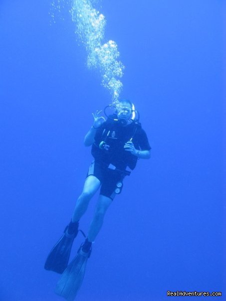 Red Sea diving | Pharaonic tour guide | Image #13/26 | 