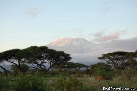 Mount kilimanjaro at the Amboseli Kenya | Kenya safari tour operator for Nairobi and Mombasa | Mombasa, Kenya | Wildlife & Safari Tours | Image #1/24 | 