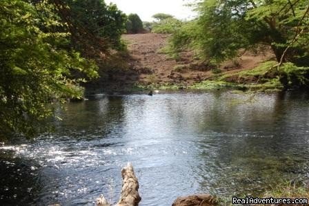 Mzima springs at the Tsavo West national park