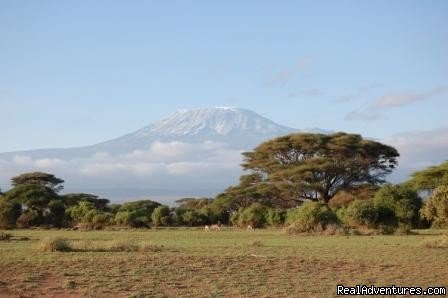 mount kilimanjaro ,Kenya | Kenya safari tour operator for Nairobi and Mombasa | Image #12/24 | 