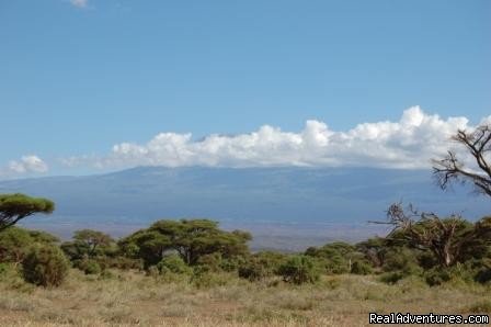 Skyline,clouds,scenery and wildlife. | Kenya safari tour operator for Nairobi and Mombasa | Image #15/24 | 