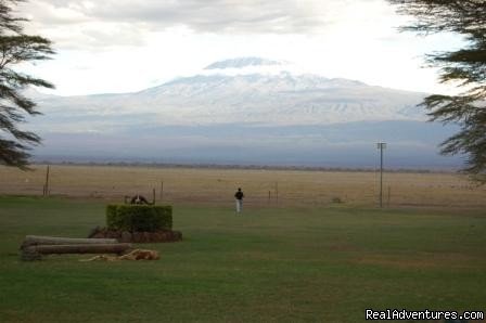 Mount Kilimanjaro.Amboseli national park. | Kenya safari tour operator for Nairobi and Mombasa | Image #19/24 | 