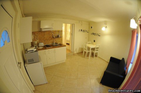 Studio apartment kitchen | Quiet,  friendly and cheap accommodation in Brasov | Image #2/16 | 