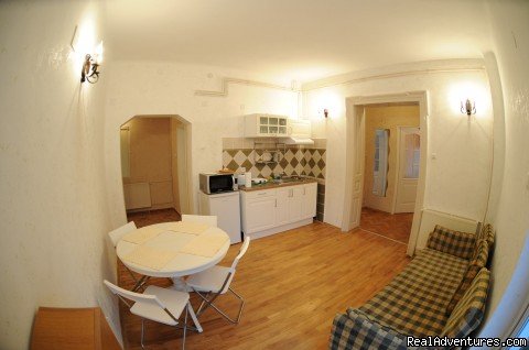 Schei 2 rooms apartment - living and kitchen | Quiet,  friendly and cheap accommodation in Brasov | Image #16/16 | 