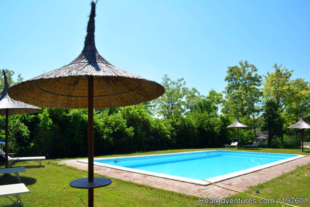 The Pool In The  Cooking School | 5 Days Italian Cooking Holidays in Italy | Image #18/26 | 