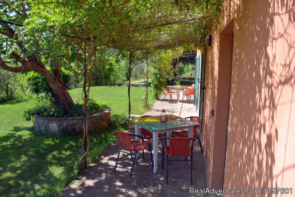 The garden in the cooking school | 5 Days Italian Cooking Holidays in Italy | Image #19/26 | 