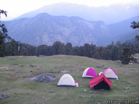 Camping in Himalayas | Valley of Flowers Trekking | Image #3/3 | 