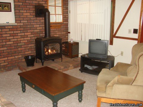 first floor living area with play station and DVD player | Charming Chalet with HUGE Deck | Image #11/21 | 