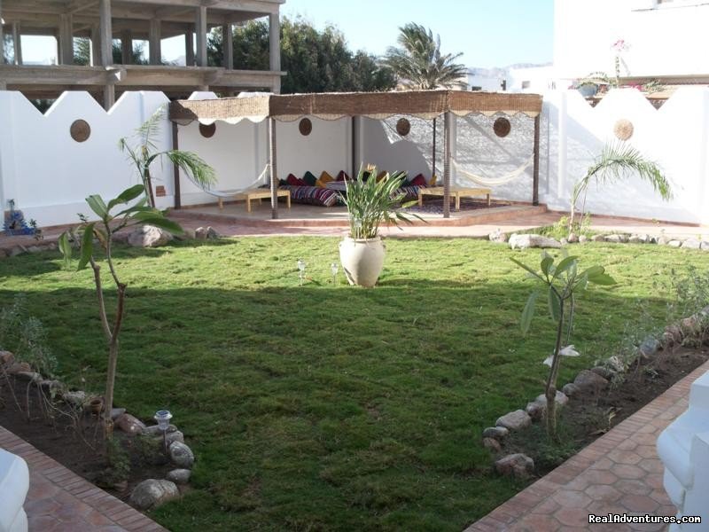 New building courtyard garden | Blue Beach Club Hotel | Image #11/11 | 