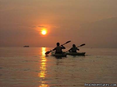 A Day Away Kayak Tours Sunset Paddle