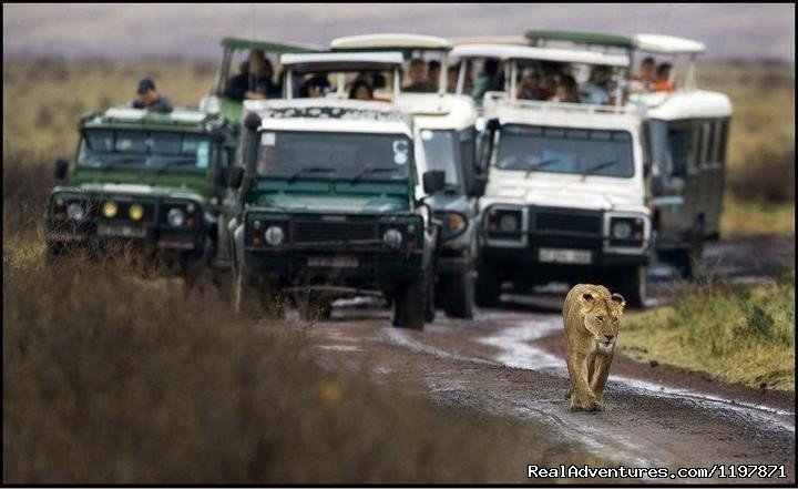 14 Nights Safari In Kenya And Tanzania | Image #8/9 | 