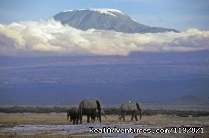 14 Nights Safari In Kenya And Tanzania | Image #9/9 | 