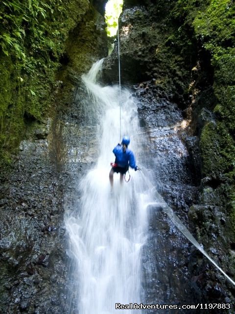 Canoyning & Waterfall Rappelling in Costa Rica | Scuba Diving In Costa Rica With Bill Beard | Image #12/23 | 
