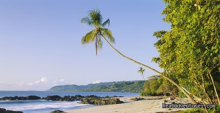 Secluded beach in Costa Rica | History Of Scuba Diving & Adventure In Costa Rica | Image #3/8 | 