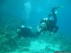 Divers Down Under | Dahab, Egypt
