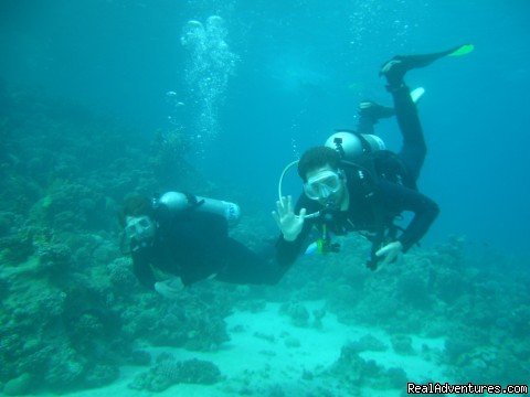 Divers Down Under | Dahab, Egypt | Scuba Diving & Snorkeling | Image #1/8 | 