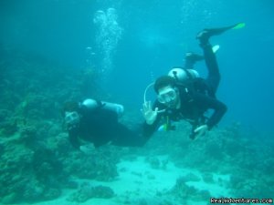 Divers Down Under | Dahab, Egypt | Scuba Diving & Snorkeling
