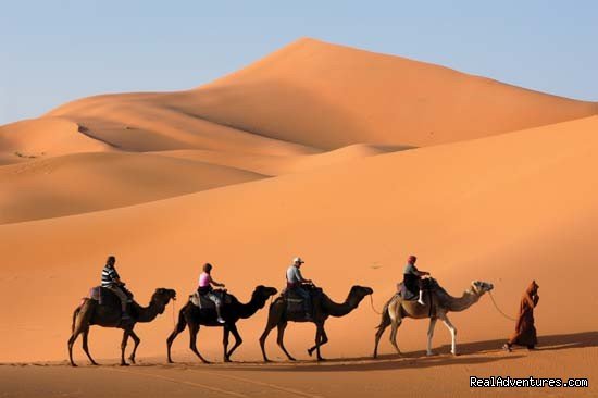  camel trekking and tours to the desert of Morocco | Marrakesh, Morocco | Articles | Image #1/2 | 