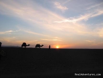 camel trekking and tours to the desert of Morocco | Image #2/2 | 