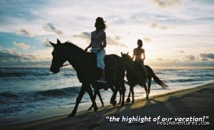 Florida Horseback Riding On the Beach 