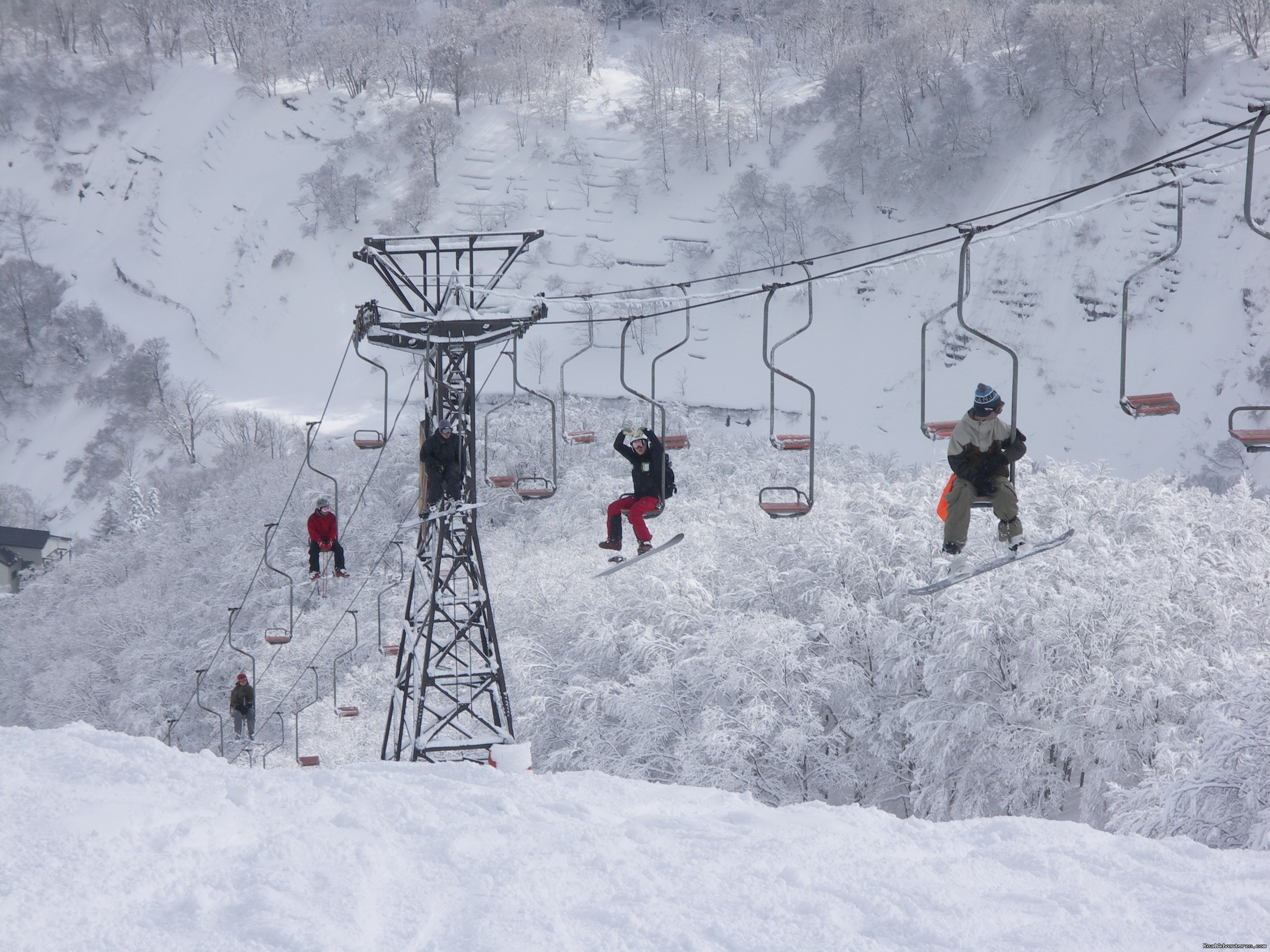 Hakuba Powder Tours Japanese Skiing At Its Best Nagano Japan Skiing